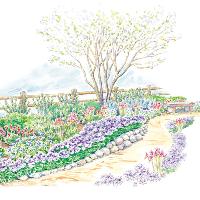 Wildlife-Friendly Woodland Garden Plan