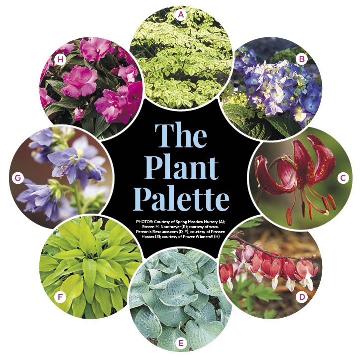 Elegant Perennial Border for Part Shade