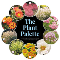 Drought-Tolerant Front Yard Garden Plan