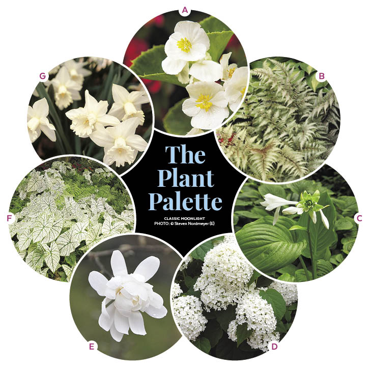 3 Monochromatic Small Space Garden Plans