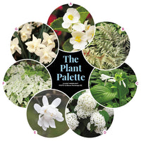 3 Monochromatic Small Space Garden Plans