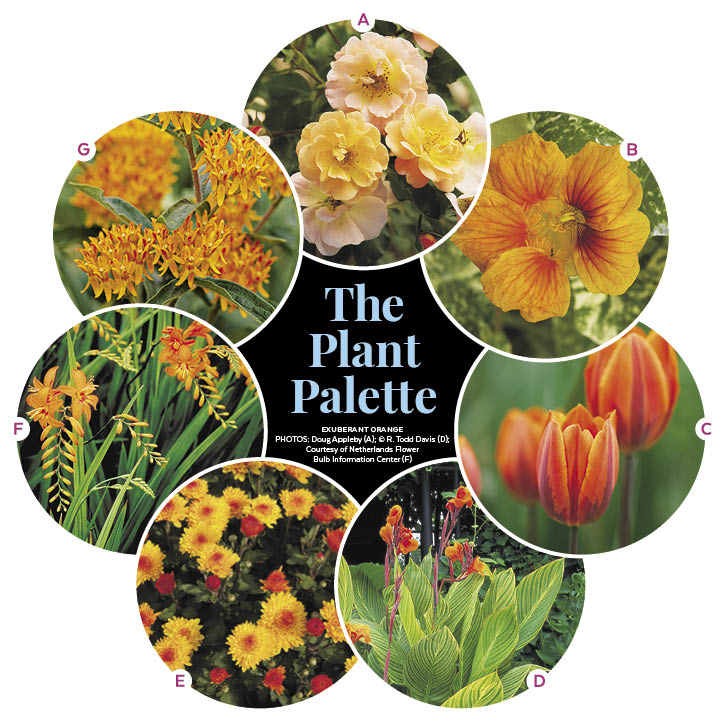 3 Monochromatic Small Space Garden Plans