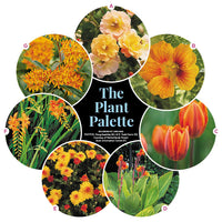 3 Monochromatic Small Space Garden Plans