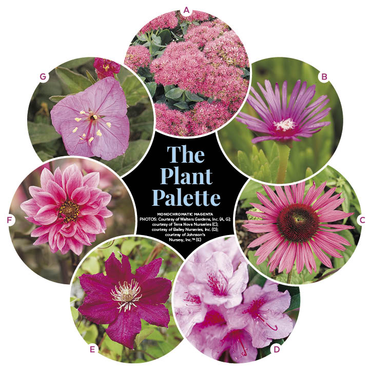 3 Monochromatic Small Space Garden Plans