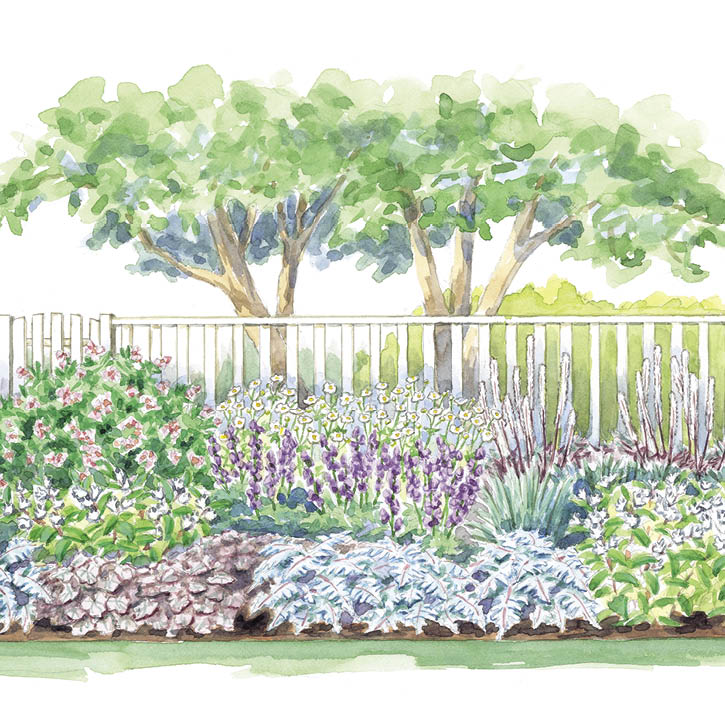 Cool-Toned Part-Shade Garden Border