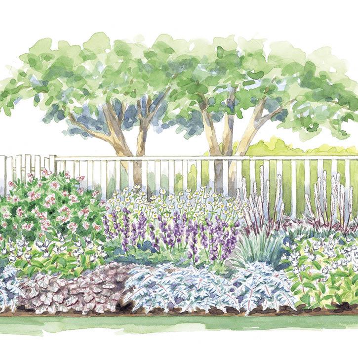Skinny Sideyard Solution Garden Plan