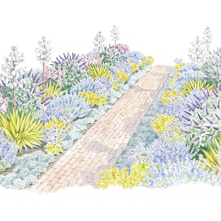 Drought-Tolerant Driveway Garden with Curb Appeal