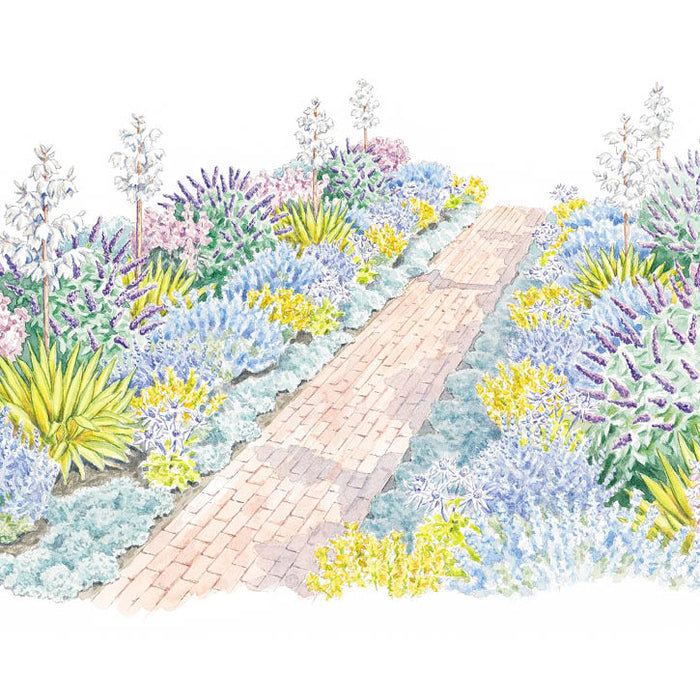 Drought-Tolerant Driveway Garden with Curb Appeal