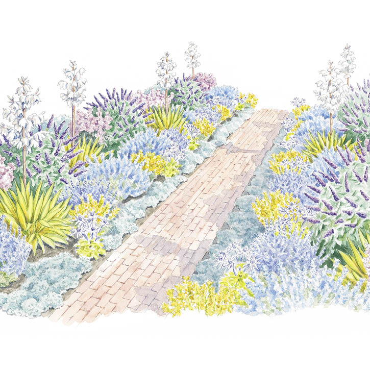 Colorful Late-Season Border Garden Plan