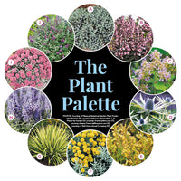 Drought-Tolerant Driveway Garden with Curb Appeal