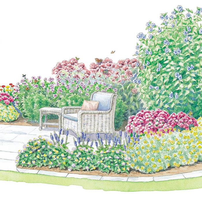 Colorful Butterfly Patio Garden