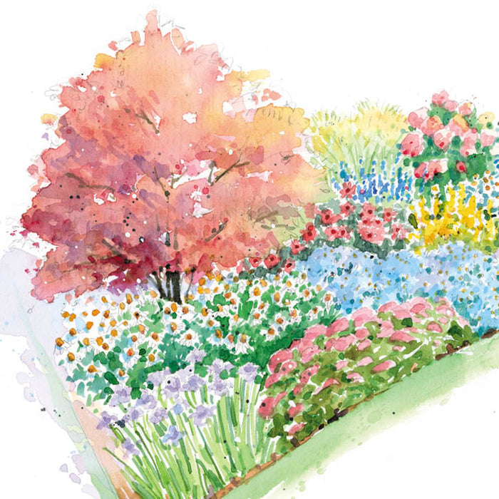 Colorful Fall Border Garden Plan