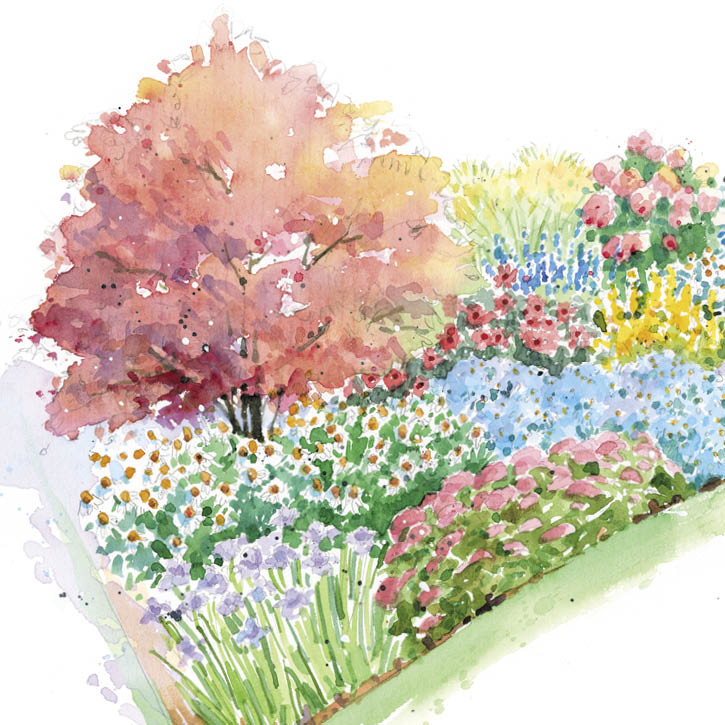 Colorful Fall Border Garden Plan