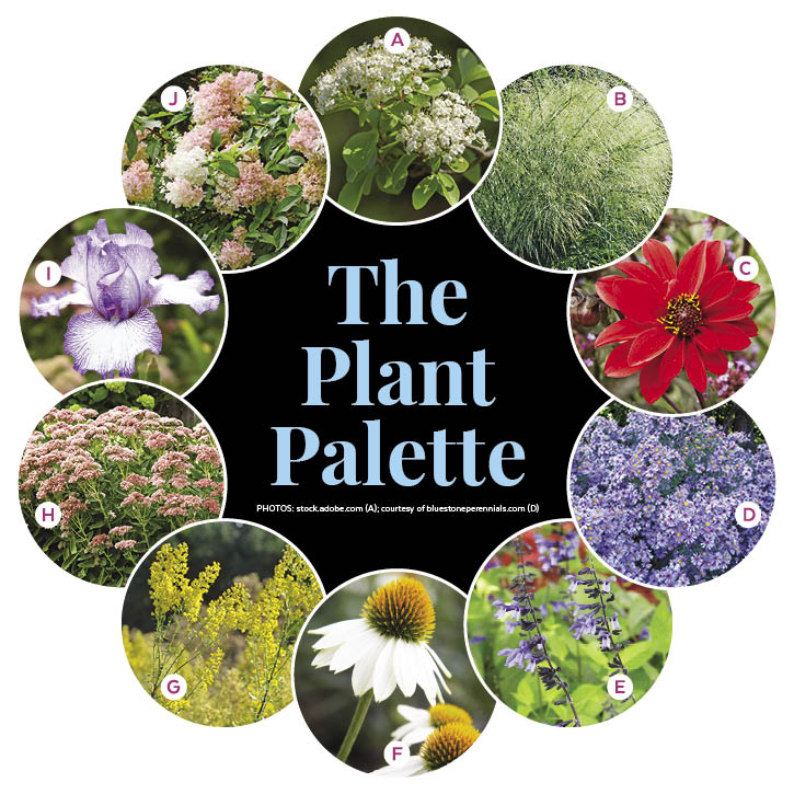 Colorful Fall Border Garden Plan