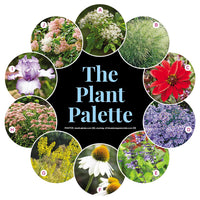 Colorful Fall Border Garden Plan