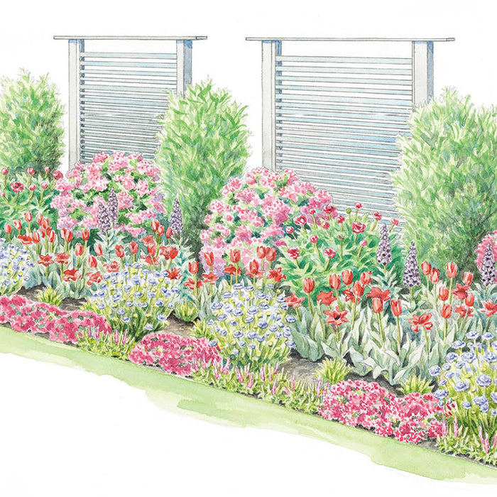 Create Privacy in Your Garden