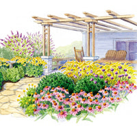Perennial Butterfly Garden Plan