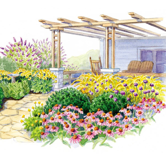 Perennial Butterfly Garden Plan