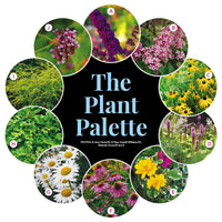 Perennial Butterfly Garden Plan
