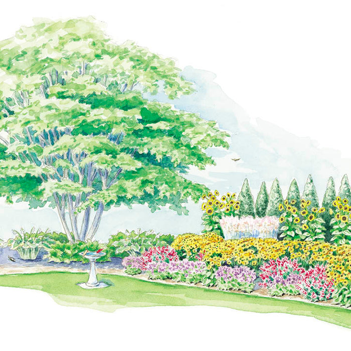 Create a Bird-Friendly Garden Border