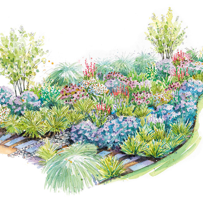 Backyard Rain Garden Plan