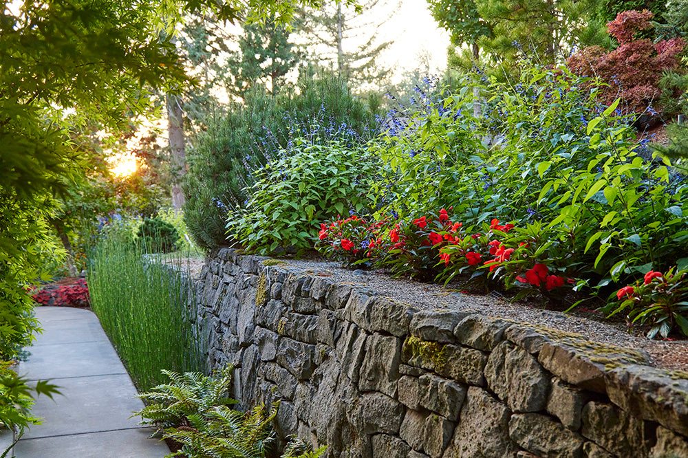 De Tuin Bij Montmore