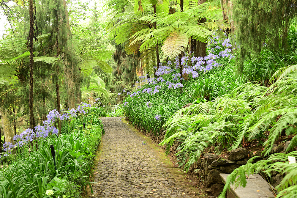 Monte Palace Tropical Garden