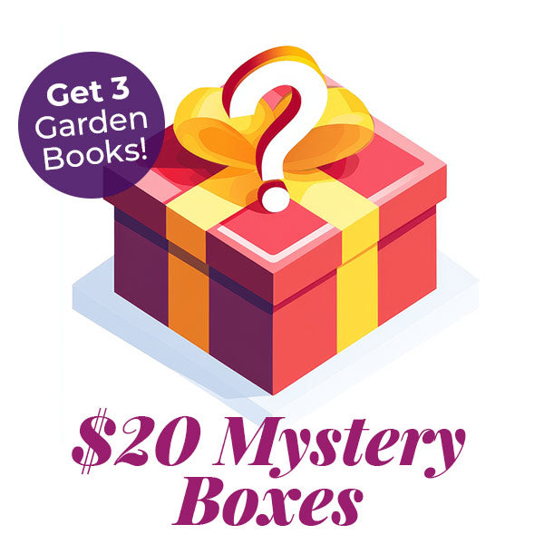 Special Offer: Mystery Box!