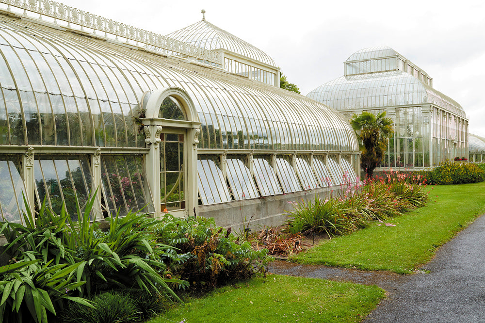 National Botanic Garden at Glasnevin