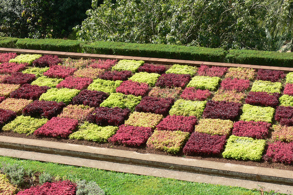 Botanical Garden Funchal