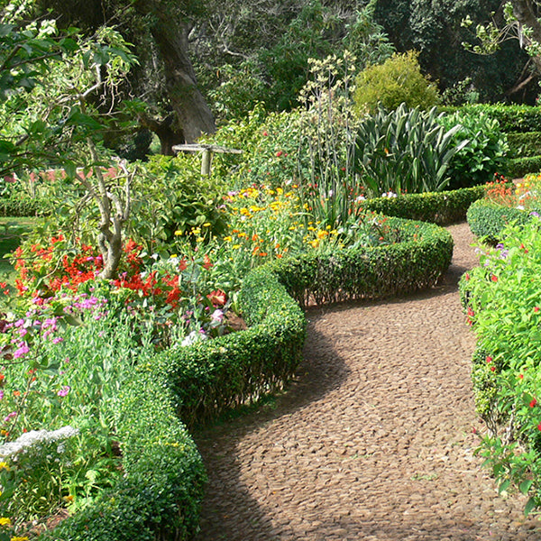 Scenic picture of Tropical Madeira Gardens