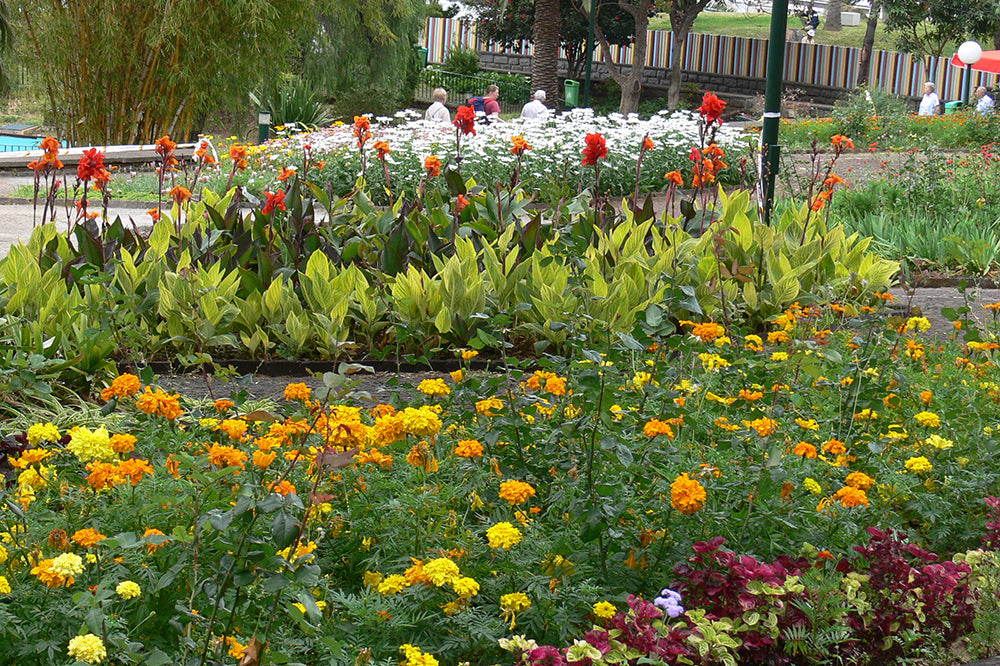 Santa Catarina Park