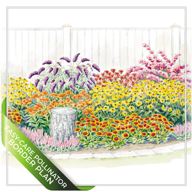 Pollinator Garden Plan SuperBundle – Garden Gate