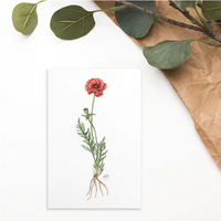 Botanical Illustration 4x6 Notecard Gift Set (8 cards)