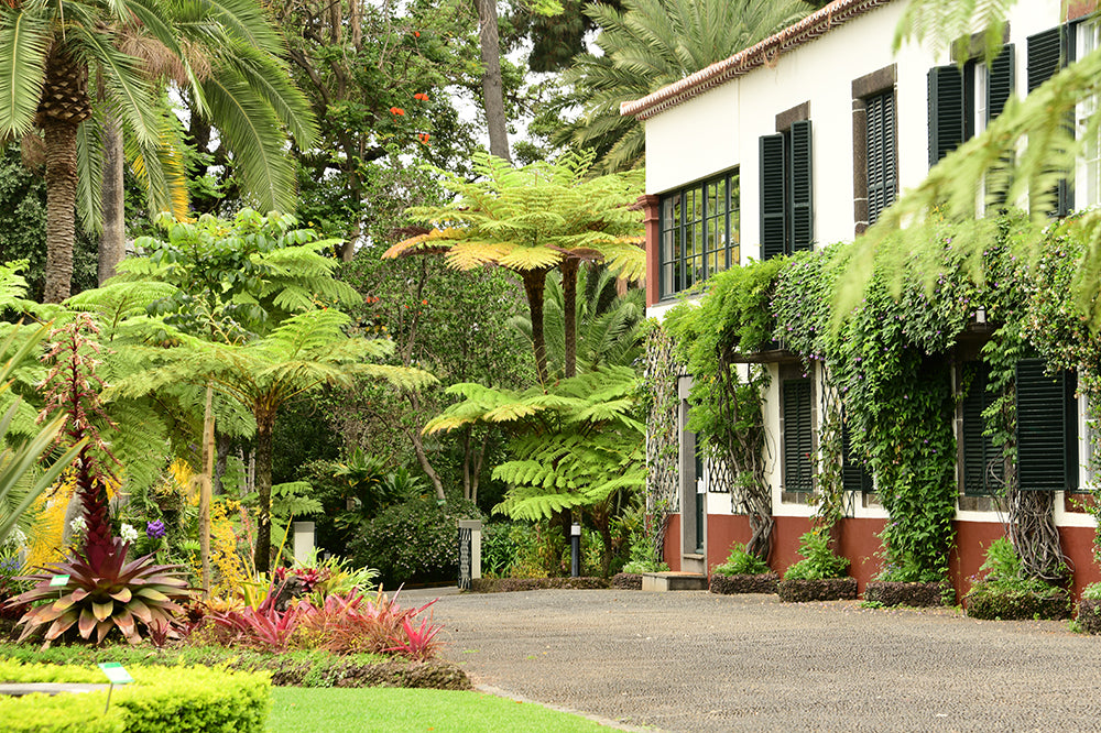 Quinta Jardins do Lago