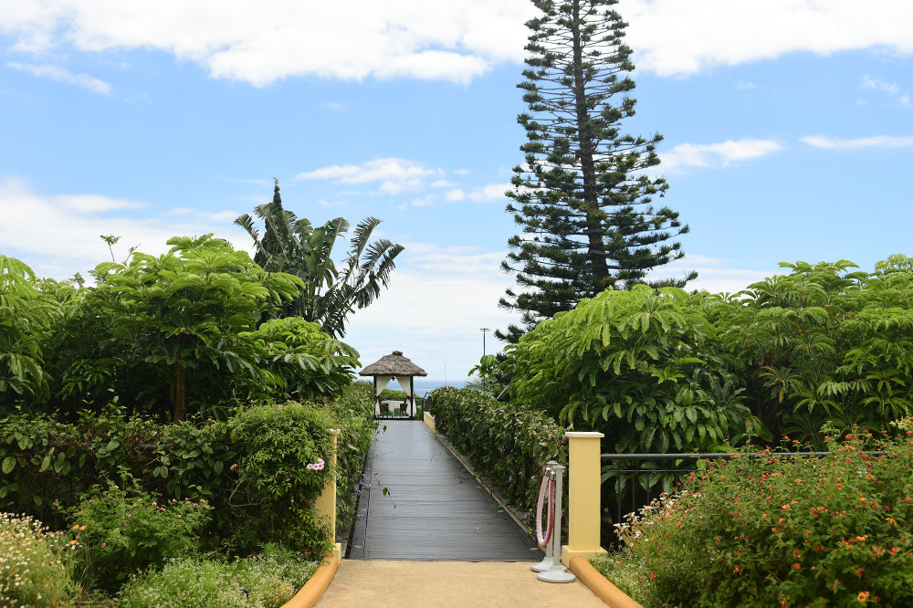 Santa Catarina Park