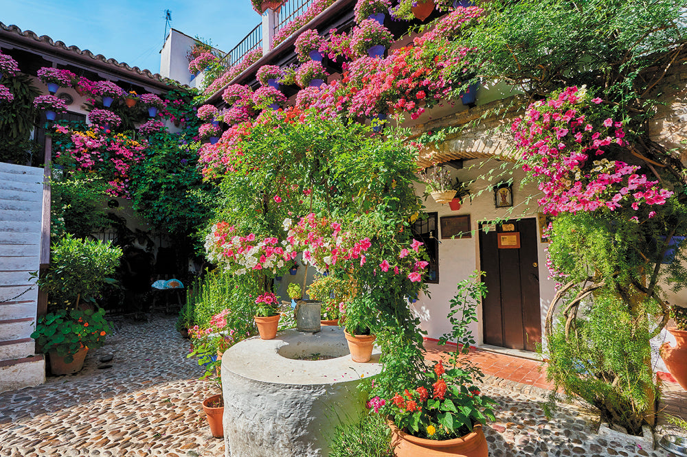 Cordoba Patio Festival