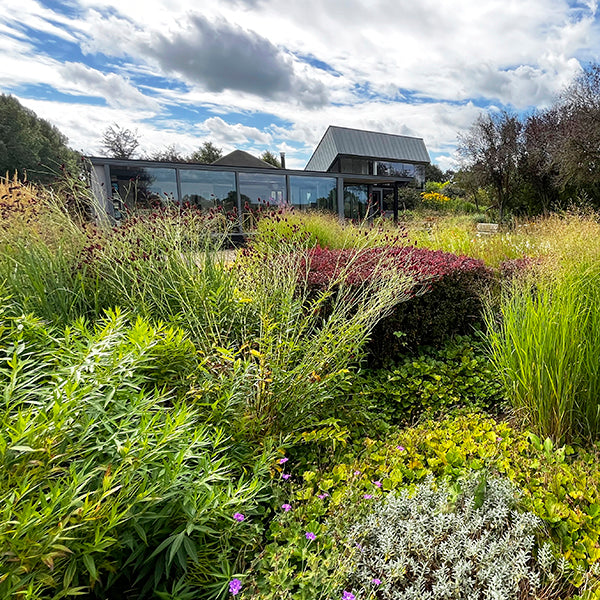Scenic picture of The New Dutch Masters with Annie Guilfoyle and the Editors of Fine Gardening