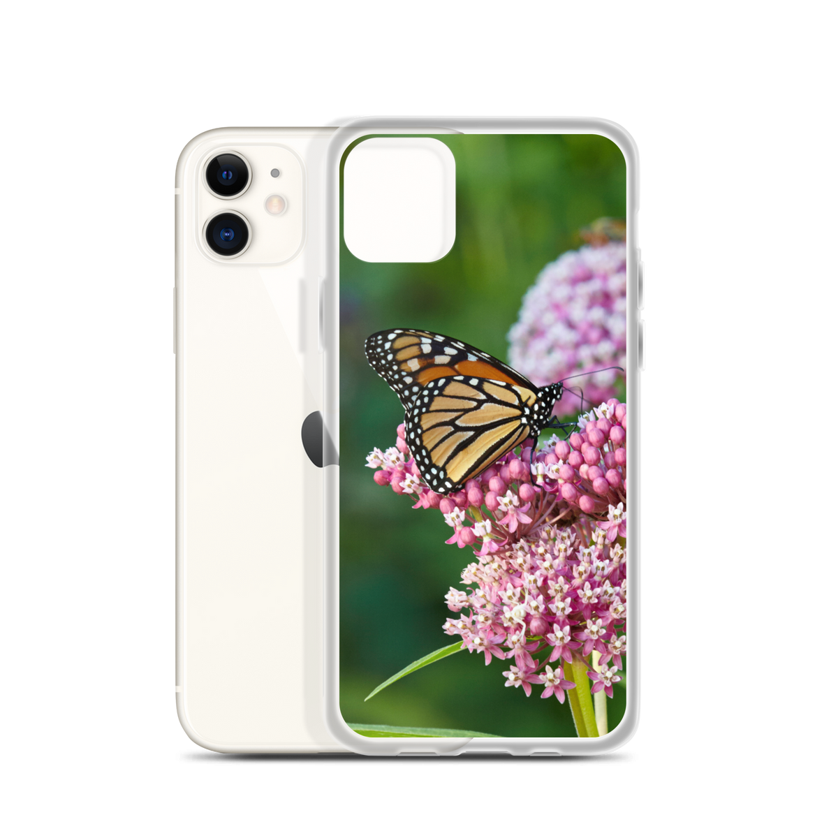 Monarch on Milkweed Phone Case for iPhone