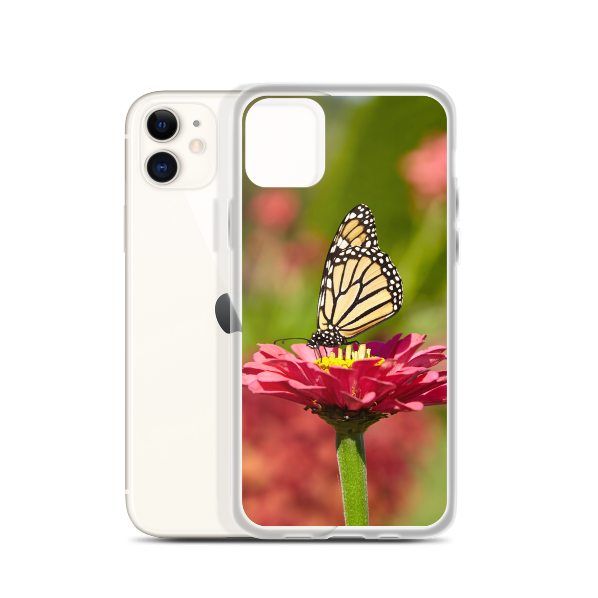 Monarch on Pink Zinnia Case for iPhone