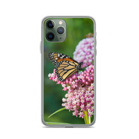 Monarch on Milkweed Phone Case for iPhone