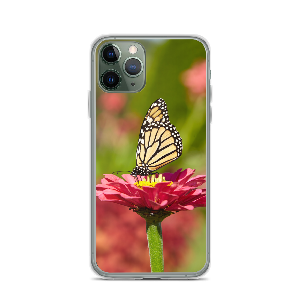 Monarch on Pink Zinnia Case for iPhone