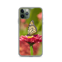 Monarch on Pink Zinnia Case for iPhone