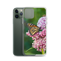 Monarch on Milkweed Phone Case for iPhone