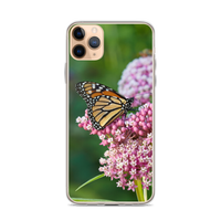 Monarch on Milkweed Phone Case for iPhone