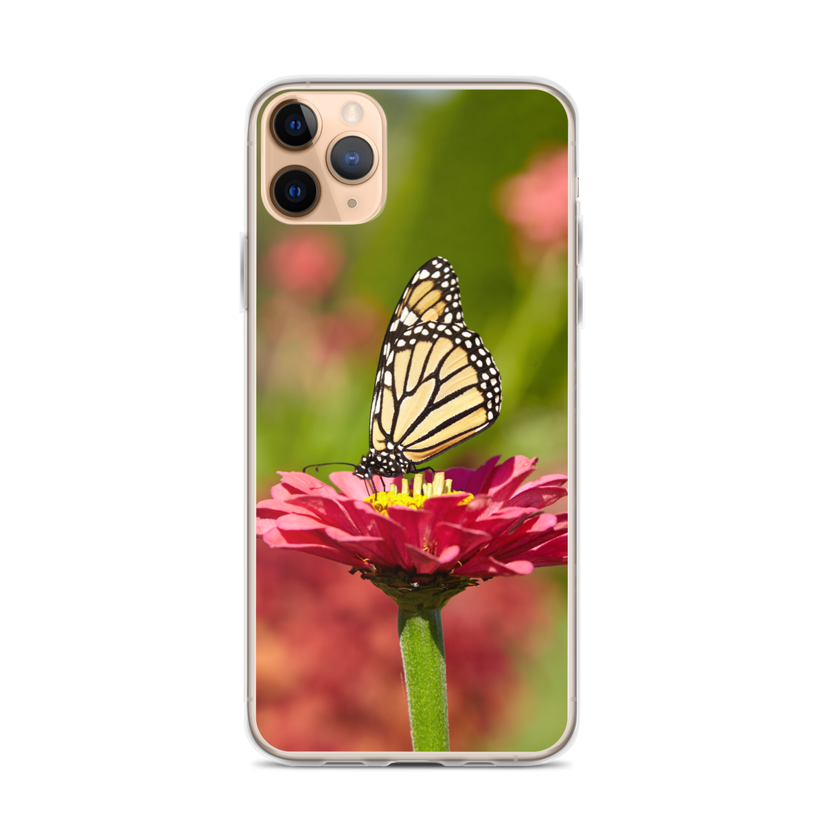 Monarch on Pink Zinnia Case for iPhone