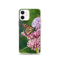 Monarch on Milkweed Phone Case for iPhone