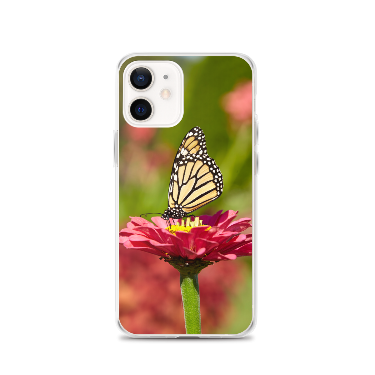 Monarch on Pink Zinnia Case for iPhone