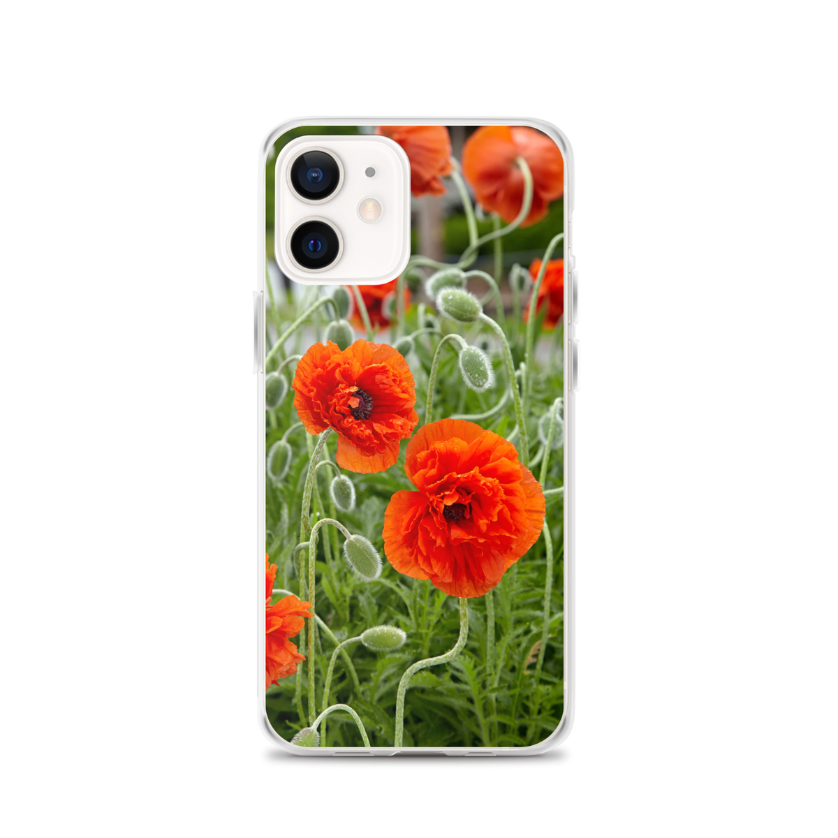 Poppy Clear Case for iPhone®