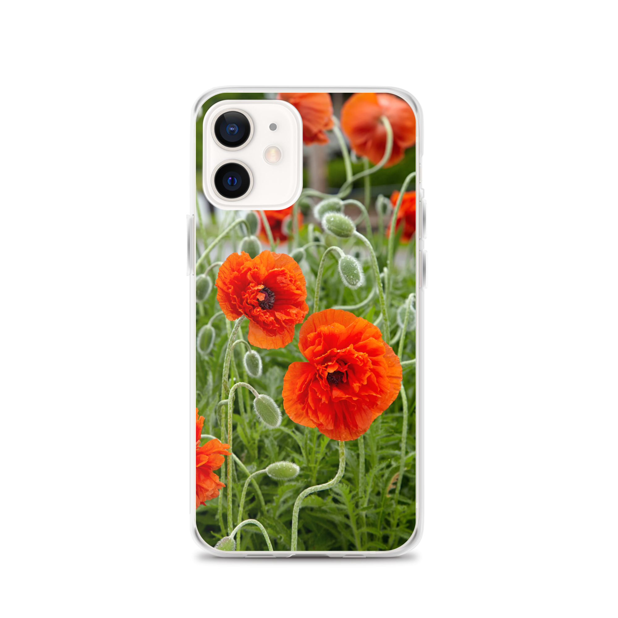 あさぎーにょ poppy スマホケース iPhone12